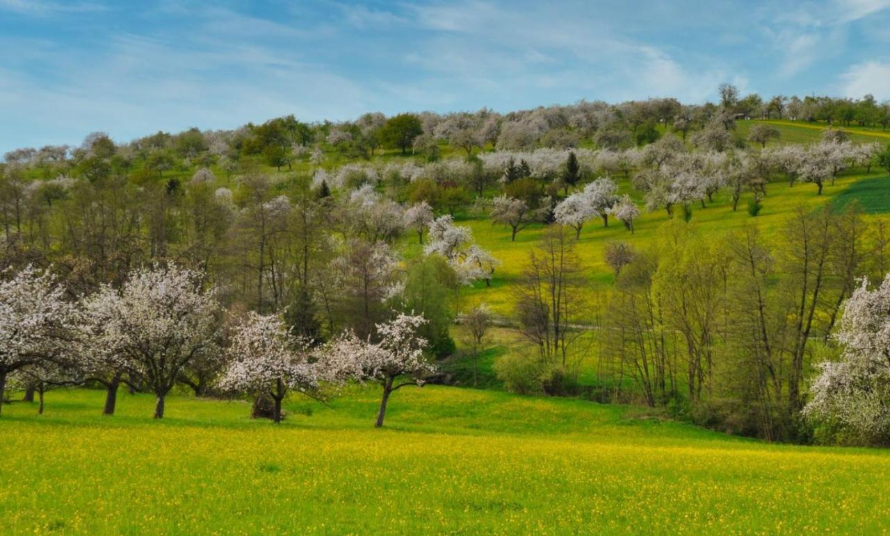 Ferienwohnung Milla Weissach im Tal Εξωτερικό φωτογραφία